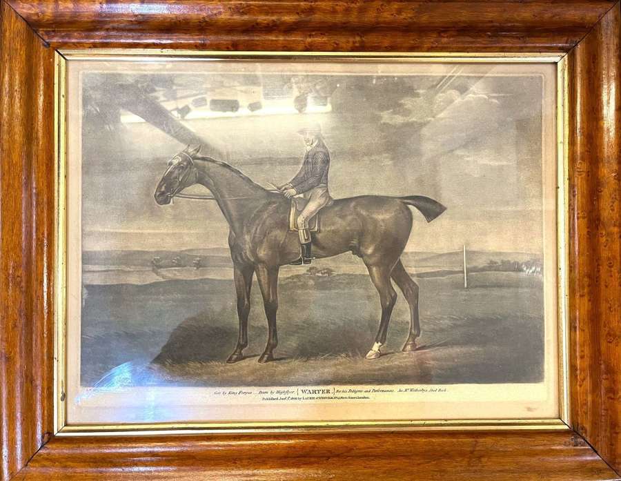 Framed Print Of Racehorse by John Nost Sartorius