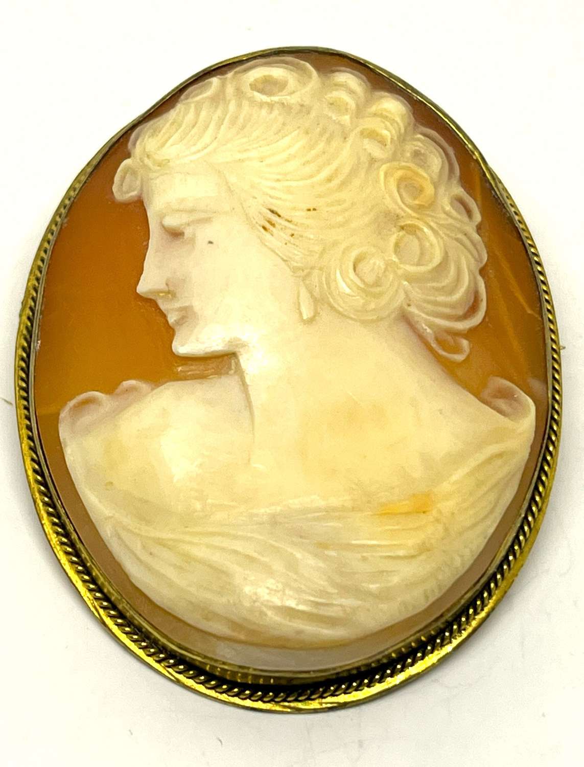 Cameo Brooch In Silver Frame