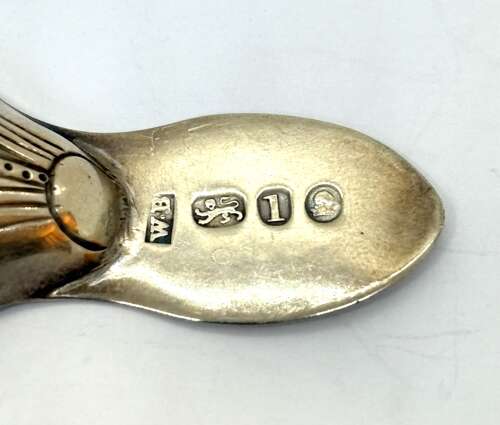 Georgian Silver Caddy Spoon