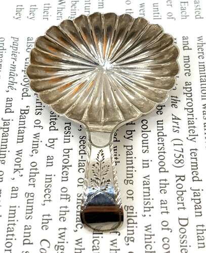 Georgian Silver Caddy Spoon
