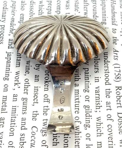 Georgian Silver Caddy Spoon