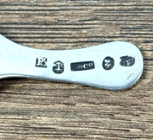 Georgian Silver Caddy Spoon