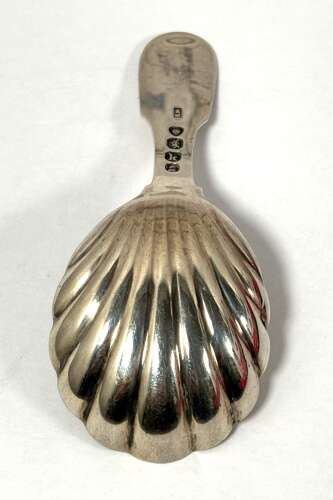 Georgian Silver Caddy Spoon